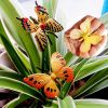 Colorful Simulated Butterfly Models Plastic Sand Table Figures Kids Educational Toys, 12Pcs
