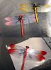 Colorful Simulated Dragonfly Figures Toy Halloween Joke Trick Kids Educational Toys, 8 Pcs