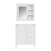 30'' Bathroom Vanity with Top Sink, Modern Bathroom Storage Cabinet with 2 Drawers and a Tip-out Drawer, Freestanding Vanity Set with Mirror Cabinet,