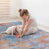 4x6 Area Rug, Washable Rug, Low-Pile, Non-Slip, Non-Shedding, Foldable, Kid & Pet Friendly - Area Rugs for living room, bedroom, kitchen, dining room